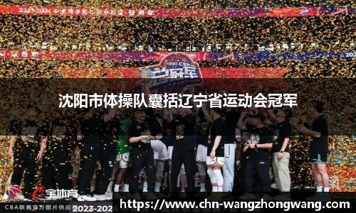 沈阳市体操队囊括辽宁省运动会冠军