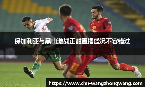 保加利亚与黑山激战正酣直播盛况不容错过