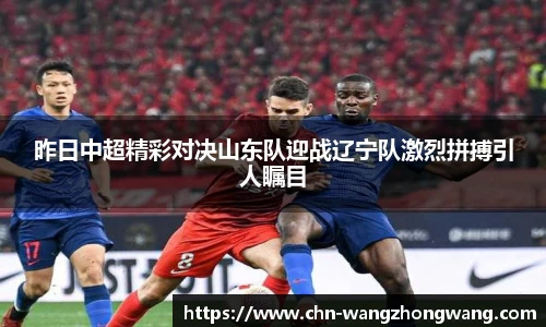 王中王官网资料